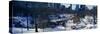 Panoramic View of Ice Skating Wollman Rink in Central Park-null-Stretched Canvas