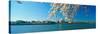 Panoramic View of Jefferson Memorial and Cherry Blossoms in Spring, Washington D.C.-null-Stretched Canvas