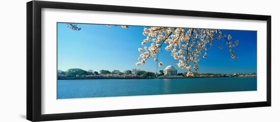 Panoramic View of Jefferson Memorial and Cherry Blossoms in Spring, Washington D.C.-null-Framed Photographic Print