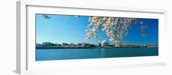 Panoramic View of Jefferson Memorial and Cherry Blossoms in Spring, Washington D.C.-null-Framed Photographic Print