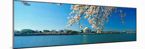 Panoramic View of Jefferson Memorial and Cherry Blossoms in Spring, Washington D.C.-null-Mounted Photographic Print