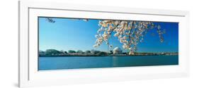 Panoramic View of Jefferson Memorial and Cherry Blossoms in Spring, Washington D.C.-null-Framed Photographic Print