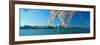 Panoramic View of Jefferson Memorial and Cherry Blossoms in Spring, Washington D.C.-null-Framed Photographic Print