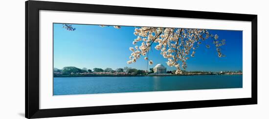 Panoramic View of Jefferson Memorial and Cherry Blossoms in Spring, Washington D.C.-null-Framed Photographic Print