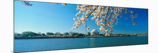 Panoramic View of Jefferson Memorial and Cherry Blossoms in Spring, Washington D.C.-null-Mounted Photographic Print