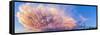 Panoramic View of Mammatocumulus Clouds, Alberta, Canada-null-Framed Stretched Canvas