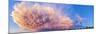 Panoramic View of Mammatocumulus Clouds, Alberta, Canada-null-Mounted Photographic Print