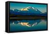 Panoramic view of Mount Denali, previously known as McKinley from Wonder Lake, Denali National P...-null-Framed Stretched Canvas