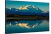 Panoramic view of Mount Denali, previously known as McKinley from Wonder Lake, Denali National P...-null-Stretched Canvas