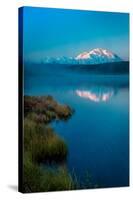 Panoramic view of Mount Denali, previously known as McKinley from Wonder Lake, Denali National P...-null-Stretched Canvas