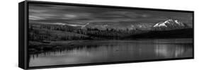 Panoramic view of Mount Denali, previously known as McKinley from Wonder Lake, Denali National P...-null-Framed Stretched Canvas