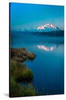 Panoramic view of Mount Denali, previously known as McKinley from Wonder Lake, Denali National P...-null-Stretched Canvas