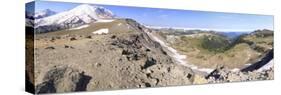 Panoramic View of Mount Rainier, Washington State, USA-Mark Taylor-Stretched Canvas