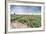 Panoramic View of Multi-Coloured Fields of Tulips and Windmills, Netherlands-Roberto Moiola-Framed Photographic Print