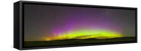 Panoramic View of Northern Lights on the Horizon, Saskatchewan, Canada-null-Framed Stretched Canvas