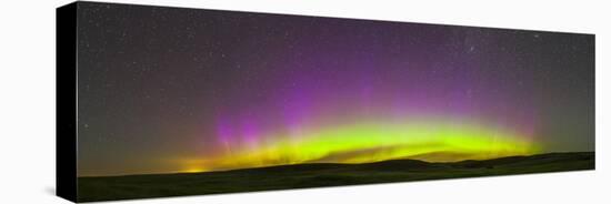 Panoramic View of Northern Lights on the Horizon, Saskatchewan, Canada-null-Stretched Canvas