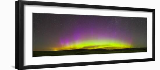 Panoramic View of Northern Lights on the Horizon, Saskatchewan, Canada-null-Framed Photographic Print