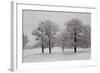 Panoramic View of Oaks-igabriela-Framed Photographic Print