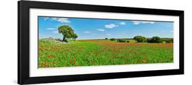 Panoramic view of poppy flowers field, Cuenca, Castilla-La Mancha, Spain-null-Framed Photographic Print