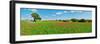 Panoramic view of poppy flowers field, Cuenca, Castilla-La Mancha, Spain-null-Framed Photographic Print