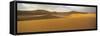 Panoramic View of Sand Dunes in Sand Sea, Sossusvlei, Namib Naukluft Park, Namibia, Africa-Lee Frost-Framed Stretched Canvas