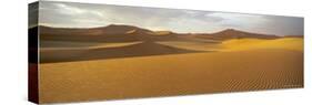 Panoramic View of Sand Dunes in Sand Sea, Sossusvlei, Namib Naukluft Park, Namibia, Africa-Lee Frost-Stretched Canvas