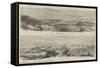 Panoramic View of Sebastopol-null-Framed Stretched Canvas