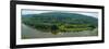 Panoramic View of Siberian Taiga Landscape at Summer-viczast-Framed Photographic Print