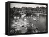 Panoramic View of Silver Springs, Florida-null-Framed Stretched Canvas