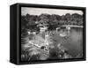 Panoramic View of Silver Springs, Florida-null-Framed Stretched Canvas