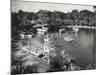 Panoramic View of Silver Springs, Florida-null-Mounted Photographic Print