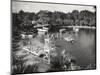 Panoramic View of Silver Springs, Florida-null-Mounted Photographic Print