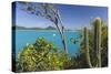 Panoramic View of Spearn Bay from a Hill Overlooking the Quiet Lagoon Visited by Many Sailboats-Roberto Moiola-Stretched Canvas