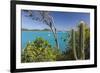 Panoramic View of Spearn Bay from a Hill Overlooking the Quiet Lagoon Visited by Many Sailboats-Roberto Moiola-Framed Photographic Print