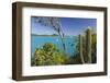 Panoramic View of Spearn Bay from a Hill Overlooking the Quiet Lagoon Visited by Many Sailboats-Roberto Moiola-Framed Photographic Print