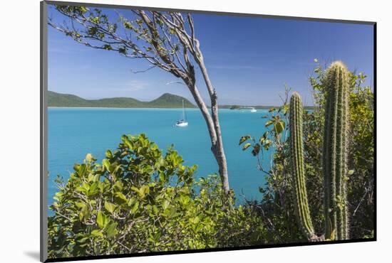 Panoramic View of Spearn Bay from a Hill Overlooking the Quiet Lagoon Visited by Many Sailboats-Roberto Moiola-Mounted Photographic Print