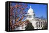 Panoramic View of State Capitol-benkrut-Framed Stretched Canvas