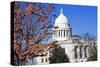 Panoramic View of State Capitol-benkrut-Stretched Canvas