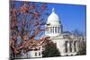 Panoramic View of State Capitol-benkrut-Mounted Photographic Print