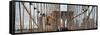 Panoramic View of the Brooklyn Bridge in New York City-Philippe Hugonnard-Framed Stretched Canvas