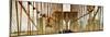 Panoramic View of the Brooklyn Bridge in New York-Philippe Hugonnard-Mounted Photographic Print