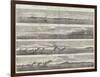 Panoramic View of the Coast of the Crimea, from Eupatoria to the Alma-null-Framed Giclee Print