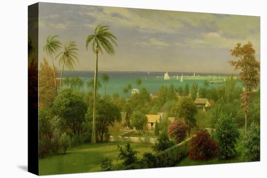 Panoramic View of the Harbour at Nassau in the Bahamas-Albert Bierstadt-Stretched Canvas