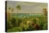 Panoramic View of the Harbour at Nassau in the Bahamas-Albert Bierstadt-Stretched Canvas