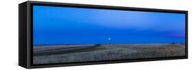 Panoramic View of the Harvest Moon Rising after Sunset, Alberta, Canada-null-Framed Stretched Canvas