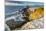 Panoramic view of the Londrangar sea stacks,Snaefellsness peninsula,western Iceland,Europe.-ClickAlps-Mounted Photographic Print