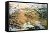 Panoramic View of the Whole Empire of Russia-Thomas Packer-Framed Stretched Canvas