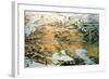 Panoramic View of the Whole Empire of Russia-Thomas Packer-Framed Giclee Print