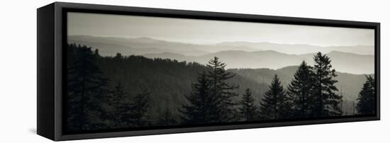 Panoramic View of Trees, Great Smoky Mountains National Park, North Carolina, USA-null-Framed Stretched Canvas