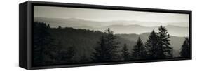 Panoramic View of Trees, Great Smoky Mountains National Park, North Carolina, USA-null-Framed Stretched Canvas